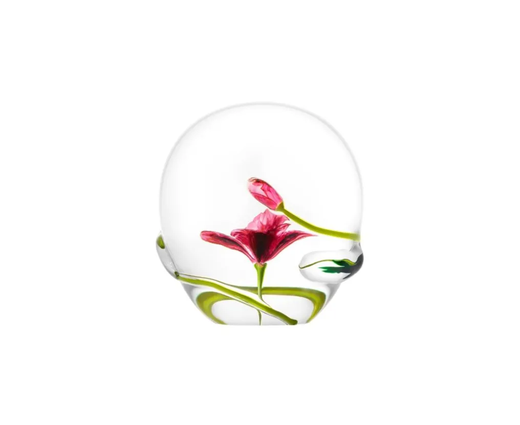 Presse-papiers cristal le Coquelicot 2024