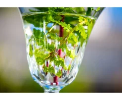 STELLA VERRE À EAU AMÉRICAIN N°1