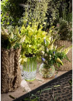 TOMMYSSIMO VASE H280 CHARTREUSE